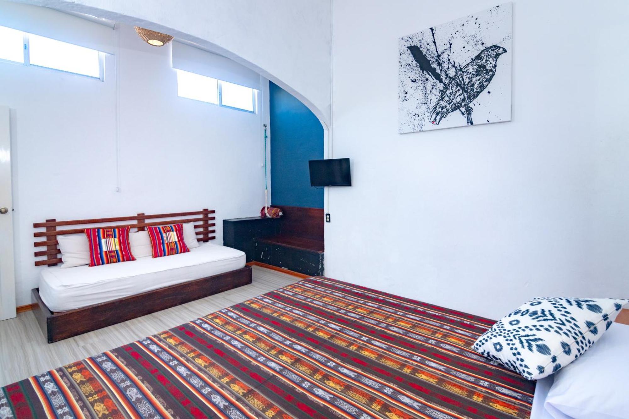 La K-Leta Boutique Guesthouse Puerto Ayora  Zewnętrze zdjęcie